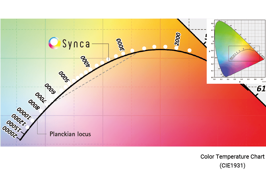 Synca pict02