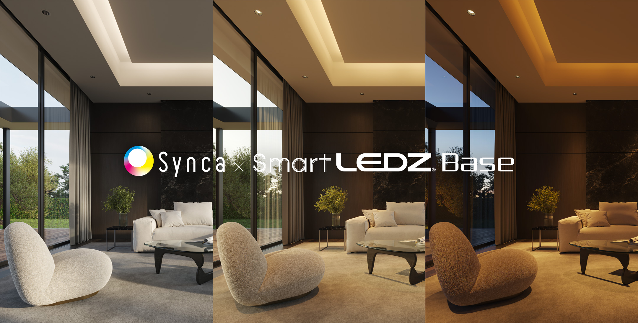 Synca x SmartLEDZ Base