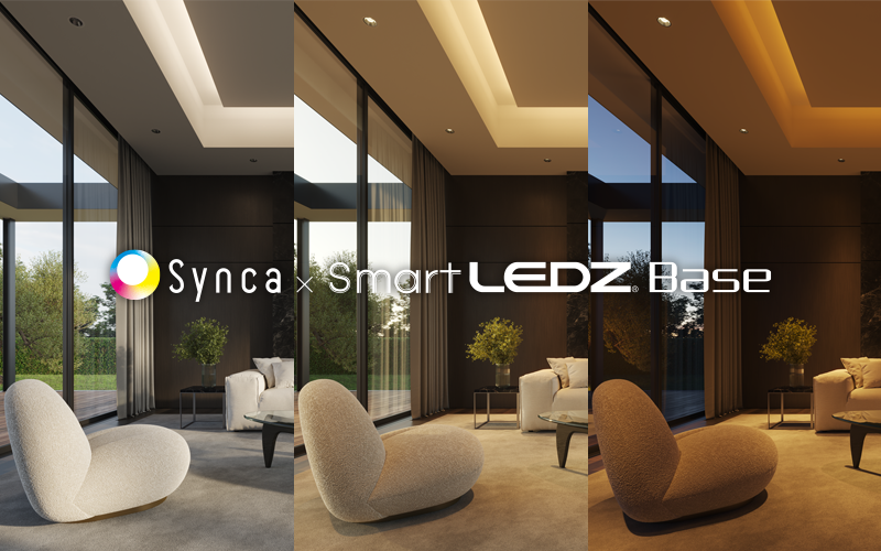 Synca x Base